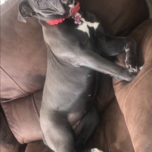 Meet your Posher, Quincee